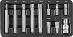 Набор вставок-бит 10 мм Spline М-профиль (30 и 75 мм), М5-М12, 11 предметов - фото 45556