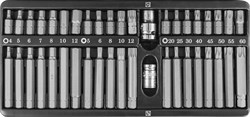 Набор вставок-бит 10 мм  шестигранных H4-12 мм, Torx Т20-Т60, Spline М5-М12 (30 и 75 мм), 42 предмета - фото 45564