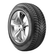 Roadstone 225/55/17 T 101 WINGUARD ICE PLUS